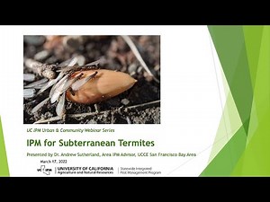 Understanding Subterranean Termites: the Social Cockroaches Eating Our Homes