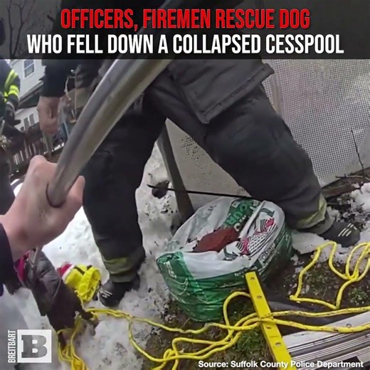 Officers, Firemen Rescue Dog Who Fell Down Collapsed Cesspool