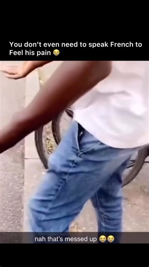 Daquan on Instagram: "He was hurt 藍藍"