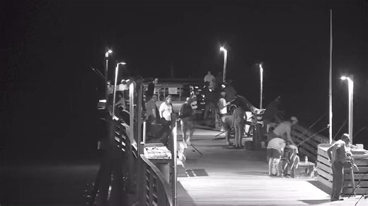 Live pier cam Avalon Pier | Outer Banks