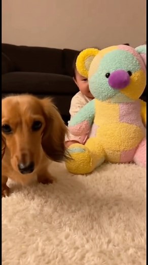 The Cutest Conversation Ever! Baby Says "Woof" and Dog Answers "Woof" Back! | Adorable Interaction
