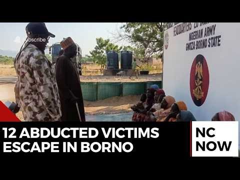 Ngoshe Attack: 12 Abducted Victims Escape in Borno