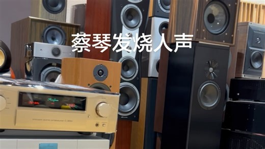 试听器材好不好听用蔡琴声音体验一下，有没你家里器材自然顺畅通透滑溜！极品K01XD CD机-金嗓子3850前级 A300单声道后级推丹拿C4MK2落地箱#音响