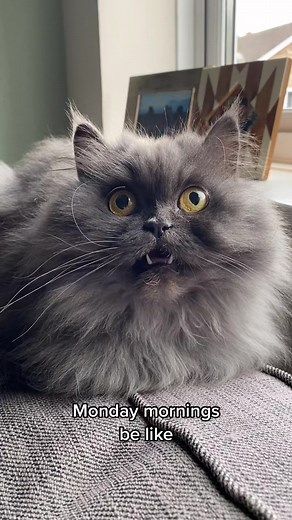 Who’s with Bobbie? 😅