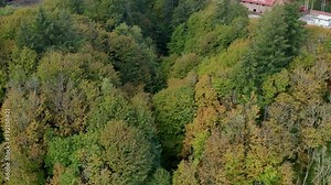 Flying over forest with leaves changing in the fall - autumn forest flyover