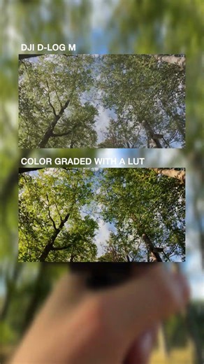 Color Grading My DJI Osmo Action Footage#colorgrading #djiosmoaction #dji