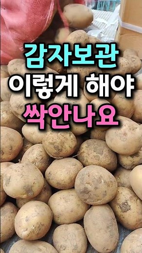 The secret to storing potatoes so they don't sprout 🥔 #PotatoStorage #KitchenHacks #HomeHacks
