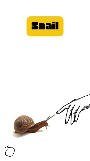 Oh Immortal Snail, is It My Time? #shorts #trendingshorts