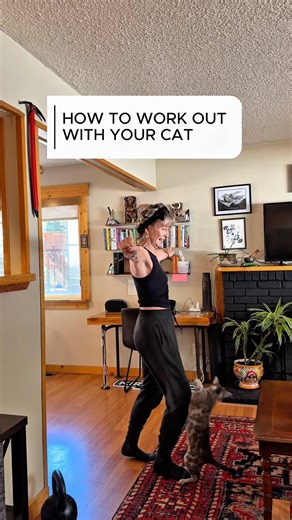 How to work out with your cat