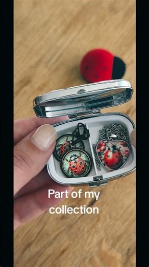 Some cute things from my ladybug collection 🐞 #ladybug #collection #shorts