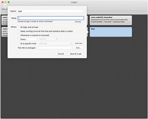 Passing Environment Variable For Program On Launchctl Macos