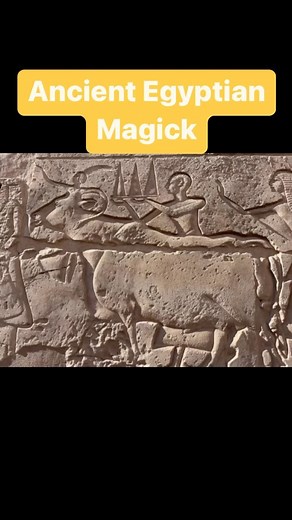 This ritual act of sacrificial offering can be likened to the practice of voodoo, a spiritual tradition that combines elements of African traditional religions, Catholicism, and indigenous beliefs. In voodoo, offerings such as animal sacrifices are made to the spirits or ancestors in order to achieve spiritual or metaphysical goals, such as healing or protection. The fattened oxen offered at the Luxor Temple can be seen as similar to the animals offered in voodoo, as they are carefully chosen an