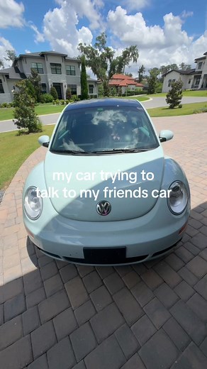 Hootin' and Hollerin' in a VW Beetle Conversation