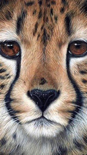 Sarah Stribbling | Wildlife conservation artist | I’m most at ease when I’m painting close ups. Last year I stepped out of my comfort zone and started painted more marine animals with more... | Instagram