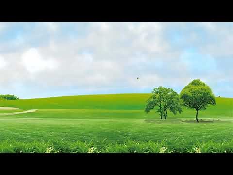 Wonderful Nature Green Grass Background 4k, Landscape Video Free