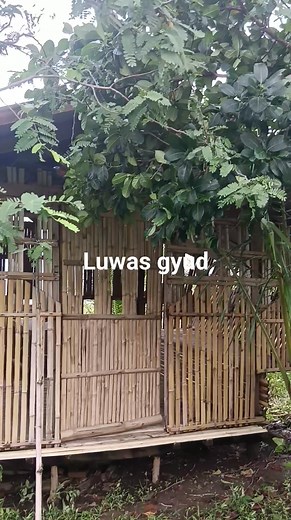 3 comments | Luwas | Michael Ortiz | Facebook