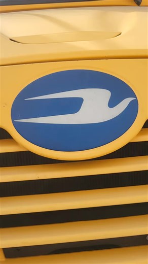 2020 Blue Bird Propane Vision #schoolbusdriversoftiktok