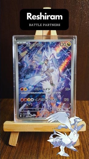 The Dragon Festival (Part 2) - Presenting a look at my dragon collection 🐲 #pokemon #dragons