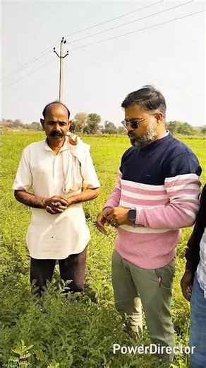 chickpea field visit #farming #cropfarming