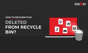How To Recover Files Deleted From Recycle Bin? DIY methods