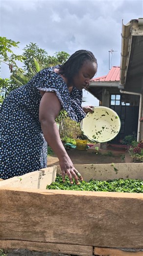 NO FRIDGE NEEDED 🌿 How We Preserve Vegetables in Our African Village #africanvillagelife