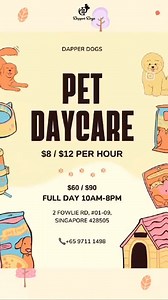 Daycare Dapperdogs