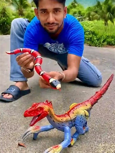 Red Snake and Dinosaur Remote Control Toys