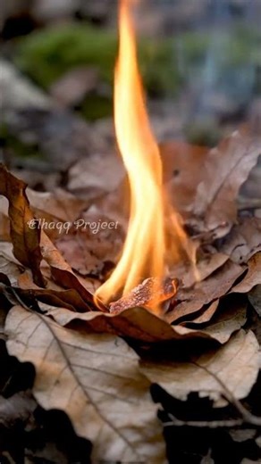 Survival Making Fire #survivalskill #makingfire #survival