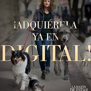 740K views | Universal Pictures on Reels | Facebook