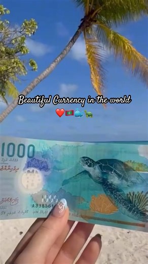 This Country Prints Ocean Life on Its Currency 😍 #maldives #rufiyaa #turtle #whalesharkwatching