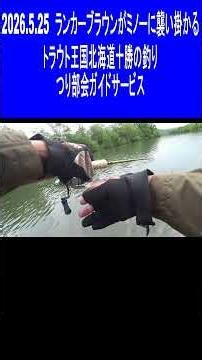 2026.5.25 ランカートラウトがミノーに襲い掛かる トラウト王国北海道十勝の釣り つり部会ガイドサービス