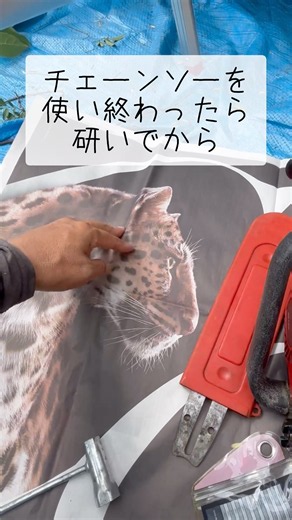 庭を綺麗にしたら道具も綺麗にして収納する庭師