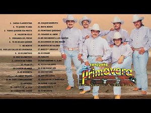 Conjunto Primavera Exitos Mix Viejitas Pero Bonitas - 35 exitos Favoritos de Conjunto Primavera