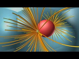 細胞分裂シミュレーション(３６０°）動画