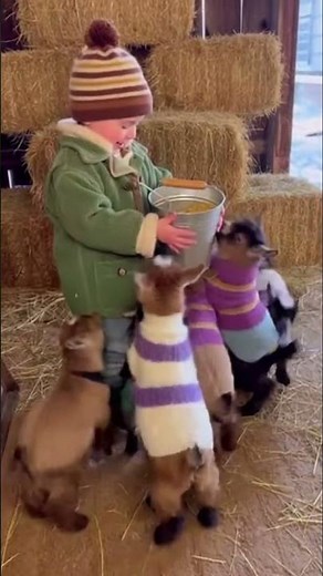 Meeting Shaun the Sheep IRL!