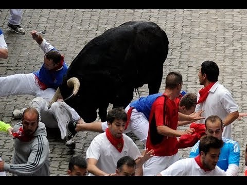 Two Gored in Spain's Pamplona Bull Run