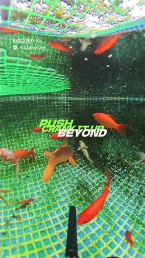 ３６０度水中動画ダイジェスト版