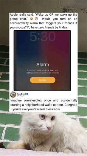 This Alarm Makes the Group Chat Wake Up Together