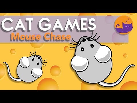 Cat Games - Mouse Catch - Mice Chase Entertainment for Cats!