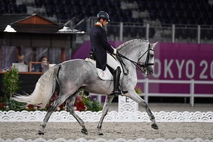 Olympic dressage horse of the day: Lusitano stallion Fogoso