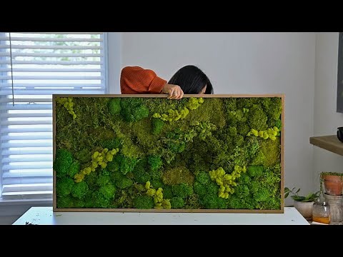 My First Preserved Moss Wall Piece (And the Ugliest Green color EVER)