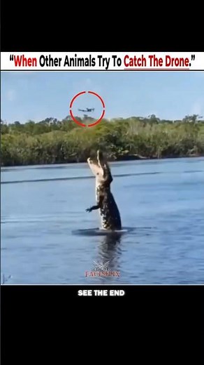 || ANIMALS vs DRONE ! Animals Try To catch Drones ! #trending #viralanimals .....