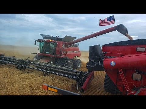 Millennial Farmer STOLE Welker's Case Combine (Optimus Bine!!)