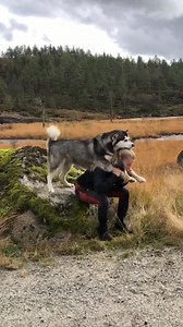 236 shares · 249 comments | Outdoor Gear for your next adventure⛰ Check out our latest products! | RevolutionRace | Facebook