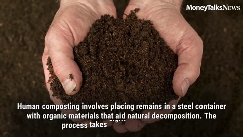 Death Goes Green: Why More Americans Are Choosing to Become Soil