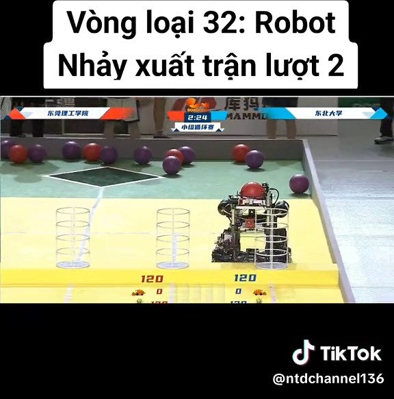 NTD 136 trên TikTok