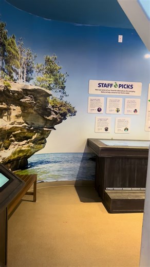 #sealife #aquarium #detroit#michigan #fyp | Sea Life