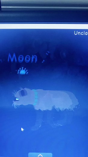 tutorial on how to get into the editor box in a public server #2022 #september #easyglitch i will also do water glitch tutorial