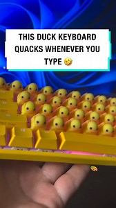 39M views · 341K reactions | This would get annoying very quickly...   duckeycaps #PC #Duck #keyboard | UNILAD | Facebook