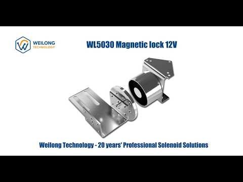 WL5030 Magnetic Lock12V Video